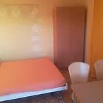 Barisic Hrvatskih Zrtava 404 Seget Vranjica Appartement *